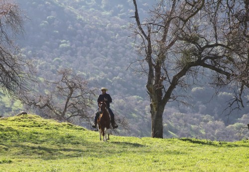 Tony Rabb, Greasy Creek 2013