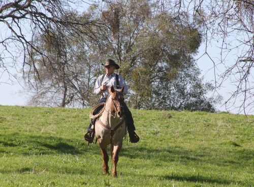 Greasy Creek, March 5, 2013