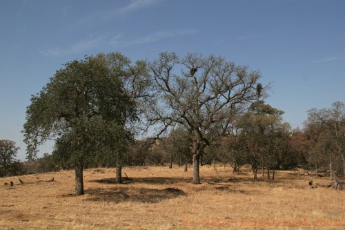 Paregien Ranch, July 20, 2013