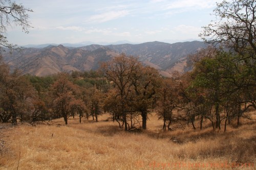 Paregien Ranch, July 20, 2013