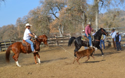 2014-01-10 03.22.59-1