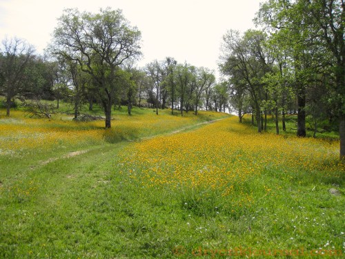 Paregien Ranch - April 8, 2014