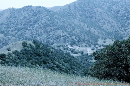 IMG_8182 - Version 2