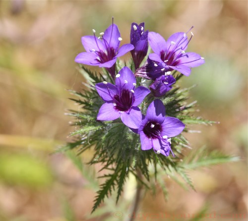 IMG_5336 - Version 2