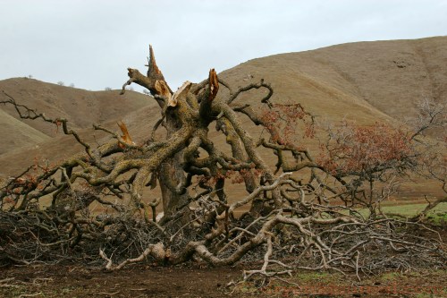 IMG_7212 - Version 2