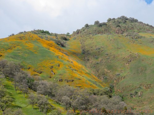 Sulphur Peak - March 3, 2015